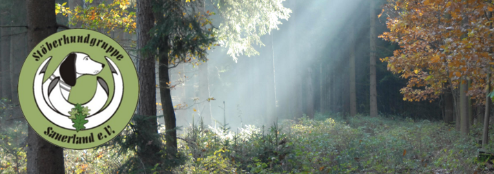 Stöberhundgruppe Sauerland